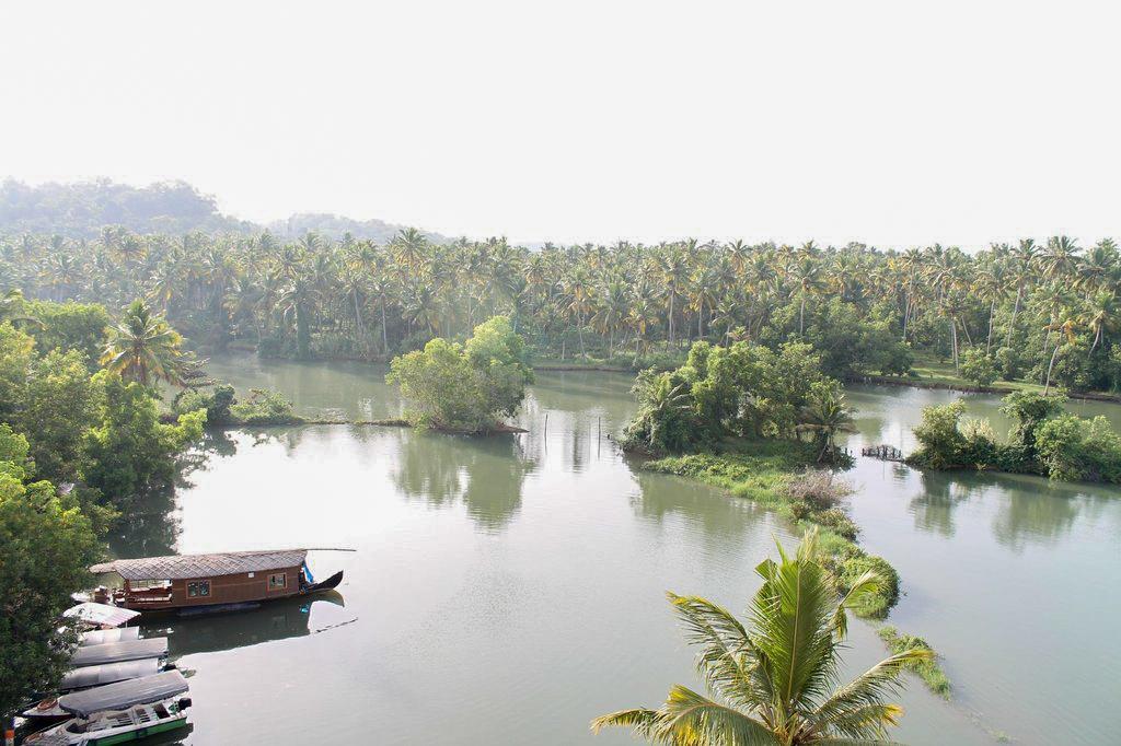 Hotel Geethu International Kovalam Ngoại thất bức ảnh